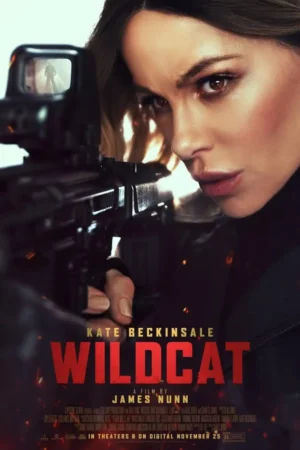 Wildcat 2025
