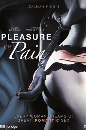 Pleasure or Pain (2013)