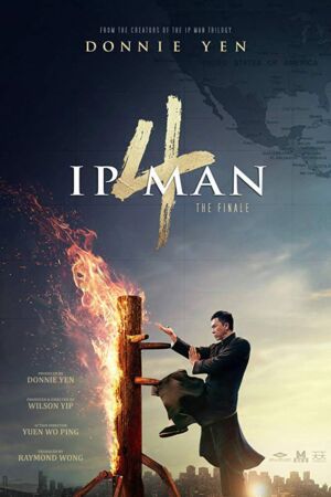 Ip Man 4 2019