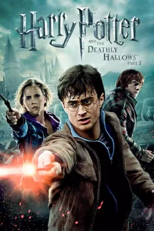 Harry Potter and the Deathly Hallows Part 2 (2011)