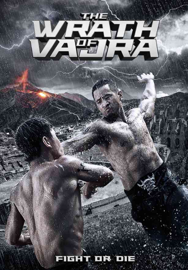 The Wrath Of Vajra Movie 2013