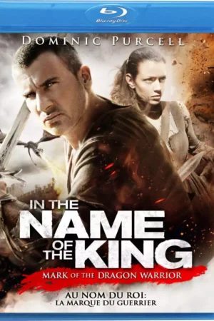 In the Name of the King The Last Mission Movie 2014