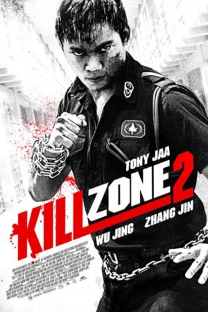 Kill Zone 2 Movie 2015