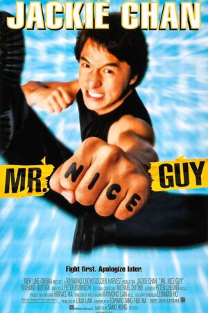 Mr Nice Guy Movie 1997