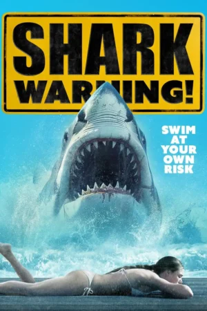 Shark Warning 2024